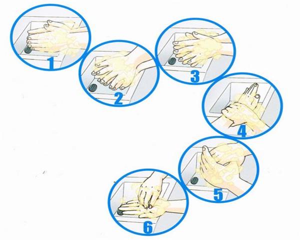 Washing Hands With 6 Steps, Reduce The Number Of Bacteria